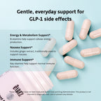 GLP-1 Support Capsules - Methylated Vitamins & Chelated Minerals - Energy, Metabolism, Digeston, Hair & Daily Nutrient Support - With Ginger for Nausea - Gentle on Stomach — 30 Day Supply